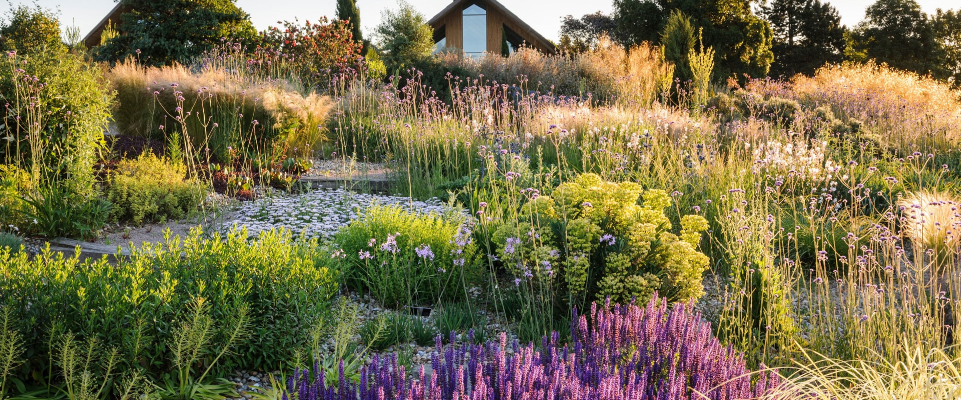 Creating a Water-Smart Landscape: How to Choose the Right Plants for Your Local Climate