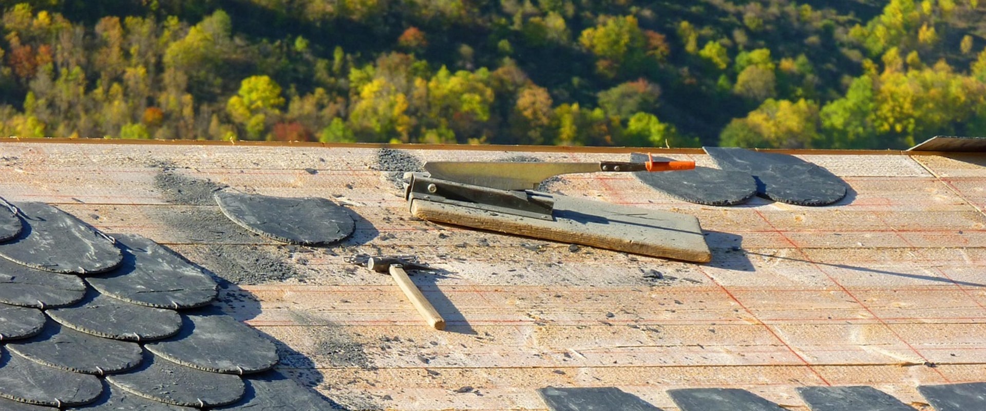 Ensure Your Roof is Ready Before Landscaping in Austin