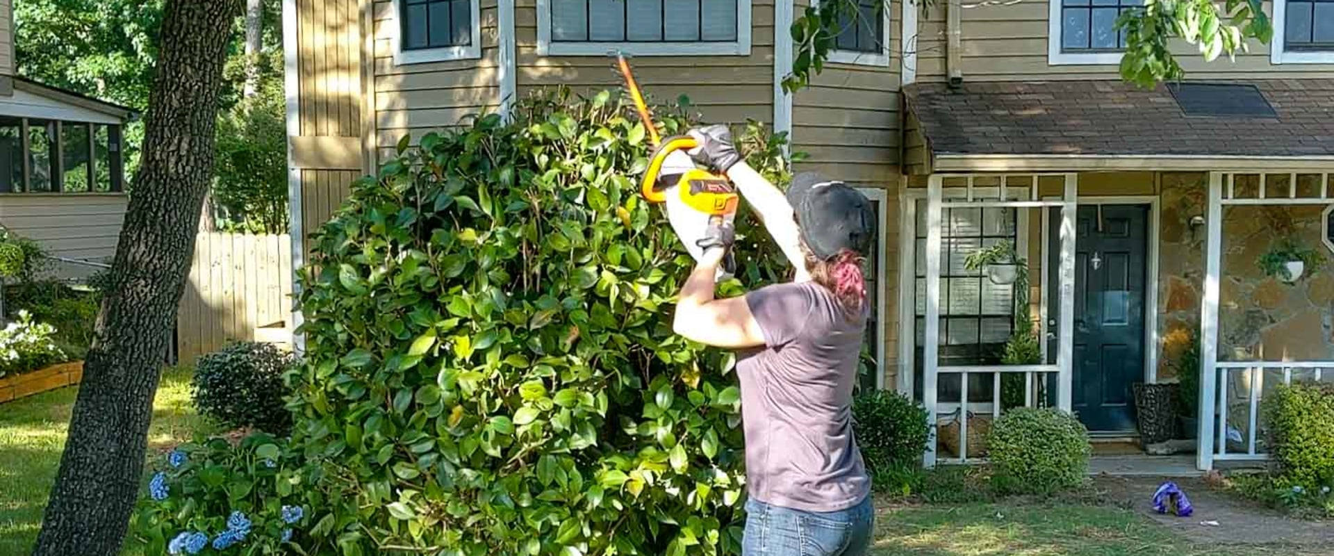 Enhance Your Landscaping with Expert Tree Care in Virginia Beach