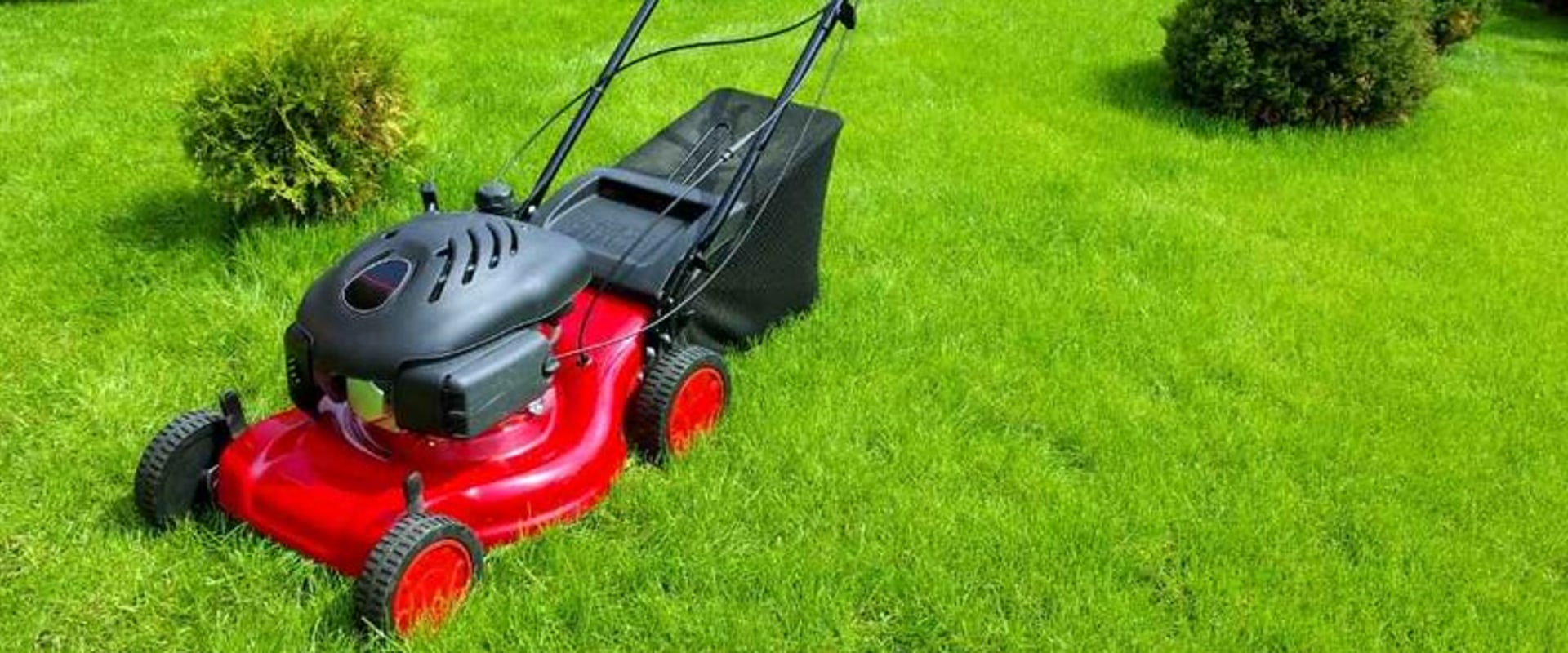 Curb Appeal In Kingsbury: Elevating Your Residential Landscape With Lawn Care