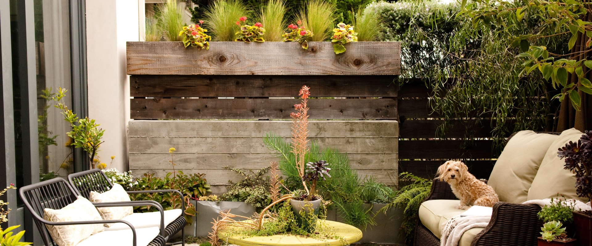 Small Yard? No Problem! Residential Landscaping Ideas for Compact Spaces