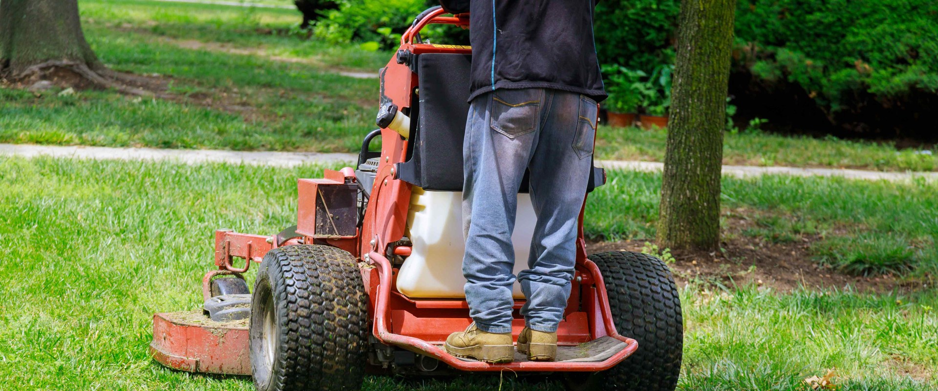 Maintaining A Pristine Lawn: The Importance Of Weed Control Services For Plano, TX Residential Landscaping