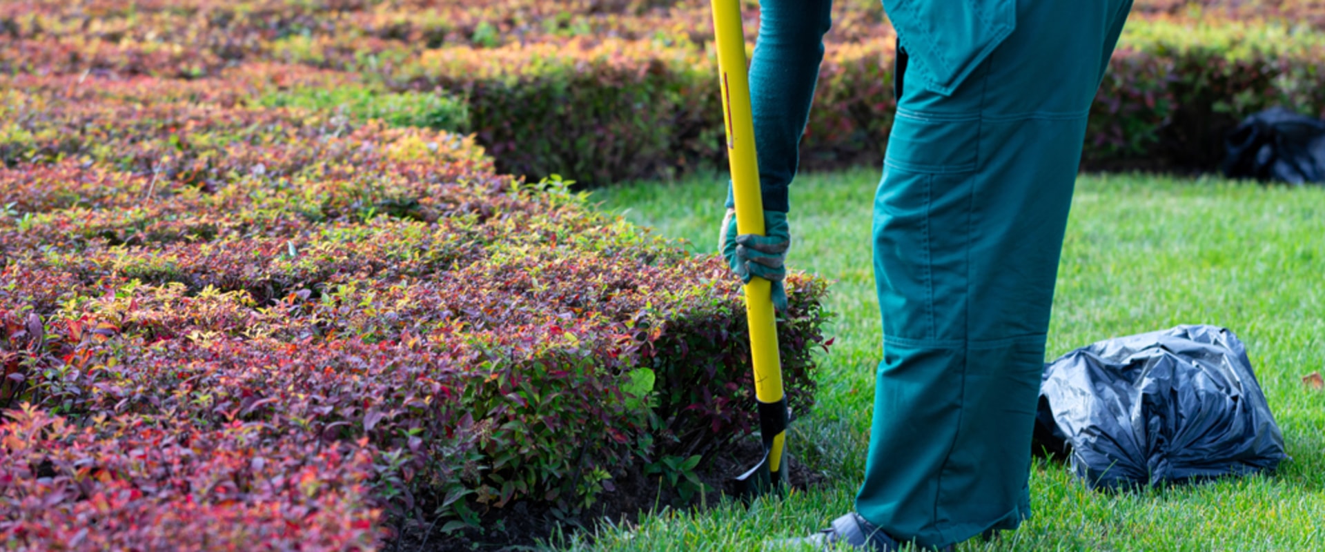 The Importance Of Foreclosure Cleanup For Your Residential Landscaping In Boise