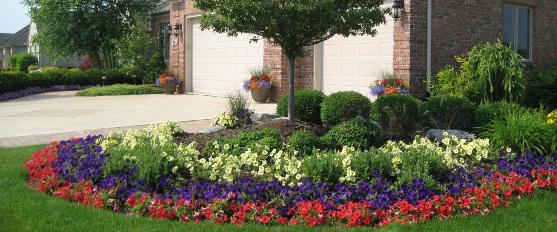 The Best Plants for Residential Landscaping