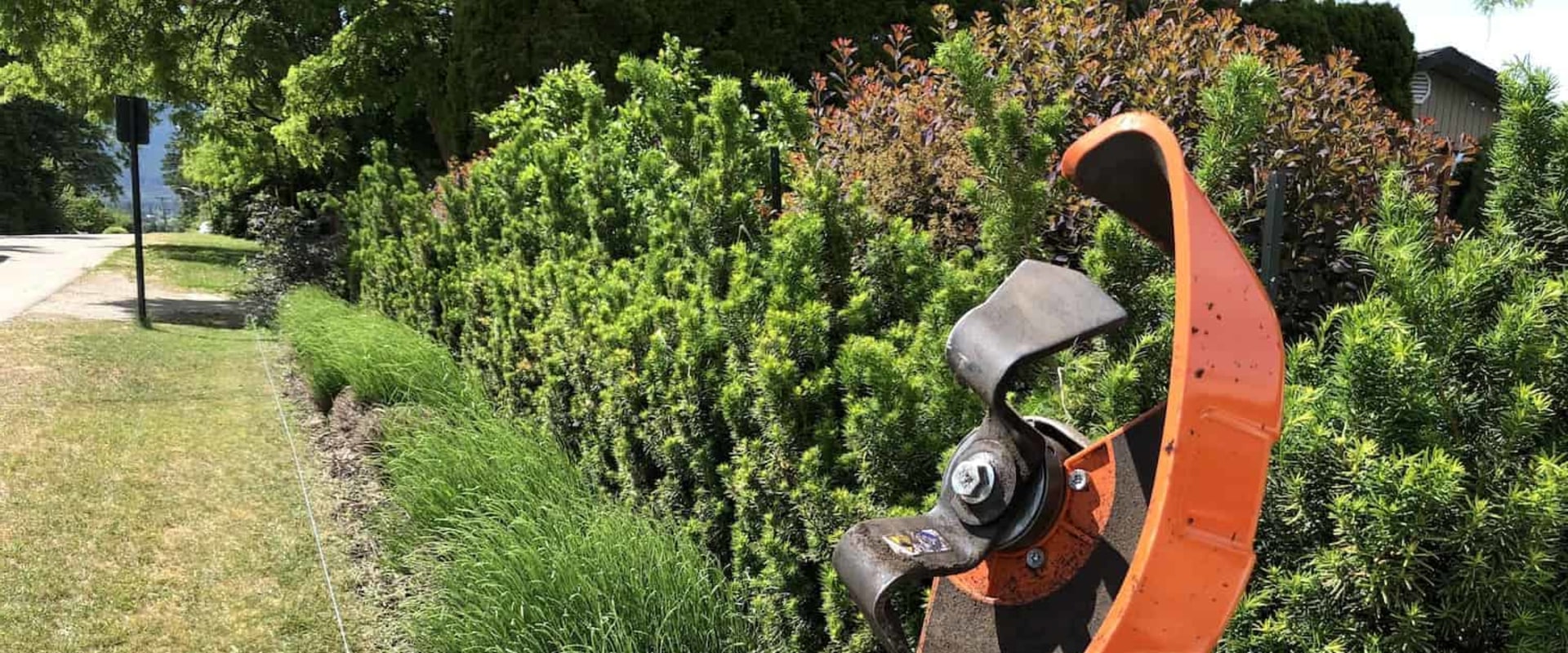 What Professional Landscapers Use for Edging