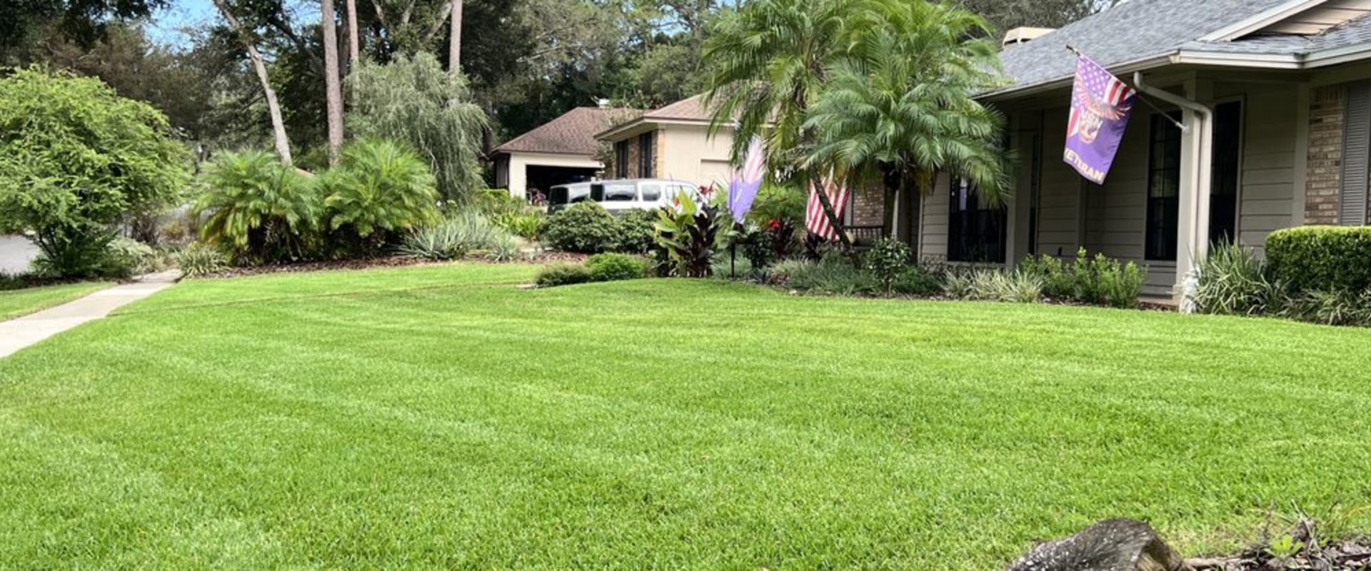 Longwood's Green Oasis: Why Pest Exterminator Services Are Vital For Residential Landscaping