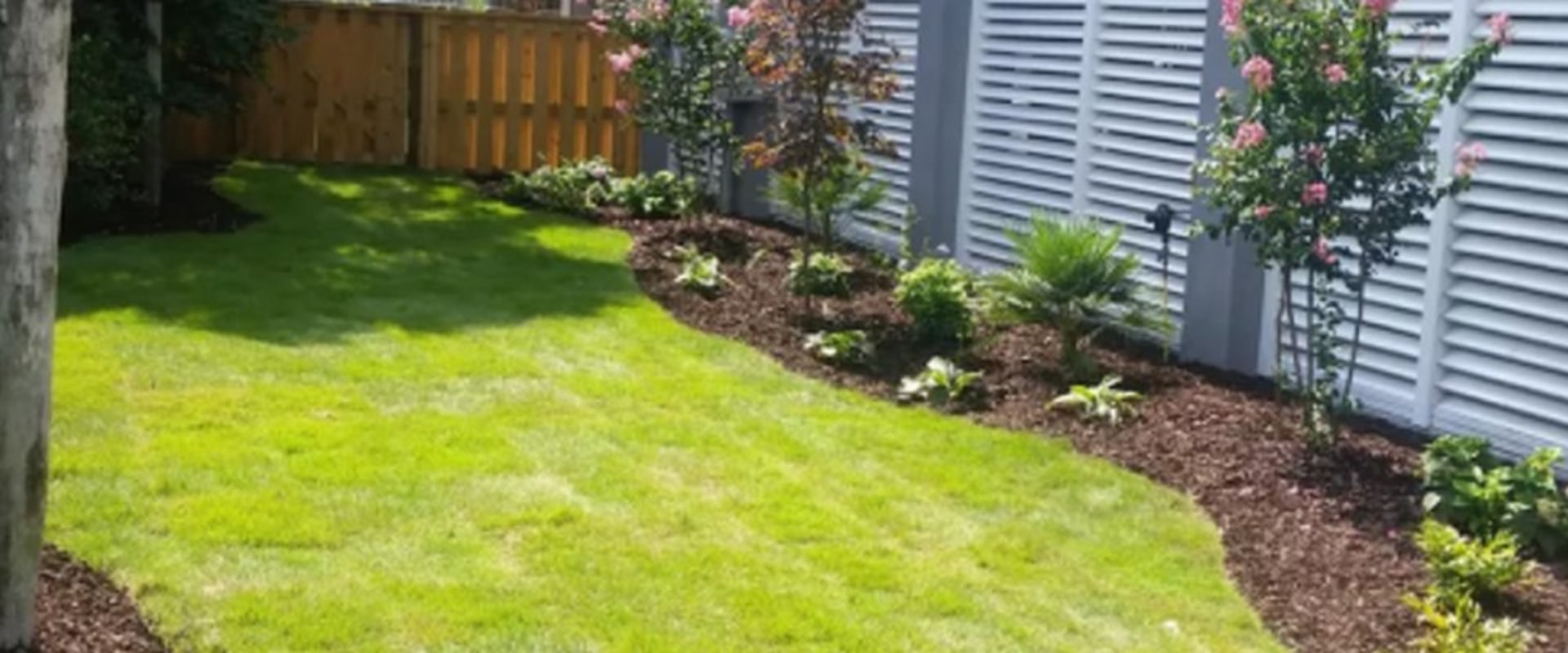 Rooted In Safety: How Termite Control Supports Healthy Residential Landscaping In Charleston, SC