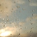 Enhance Your Home: Glass Repair & Landscaping Tips