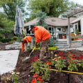 From Plant Selection to Placement: Landscaping for Pest Prevention