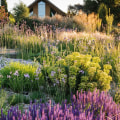 Creating a Water-Smart Landscape: How to Choose the Right Plants for Your Local Climate