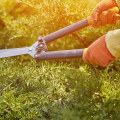 Why Is Tree Trimming Is Essential For Residential Landscaping In Paradise Valley, AZ?