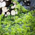 How Can A Professional Brush Removal Service Transform Your Residential Landscape Projects In Ellisville?