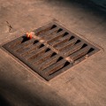 Keep Your Landscaping Pristine with Drain Cleaning in Sandy