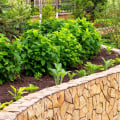 Why DIY Fence Installation Is Not Always The Best Option For Residential Landscaping In Fort Myers, FL