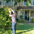 Enhance Your Landscaping with Expert Tree Care in Virginia Beach