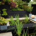 Creating a Climate-Appropriate Residential Landscape Design