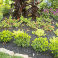 Mulch Matters: How To Choose The Right Service For Your Northern VA Residential Landscape