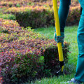 The Importance Of Foreclosure Cleanup For Your Residential Landscaping In Boise