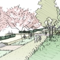 3 Types of Landscape Features Explained