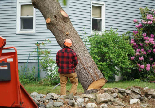 Understanding Stump Removal Cost For Residential Landscaping Projects In Leander, TX