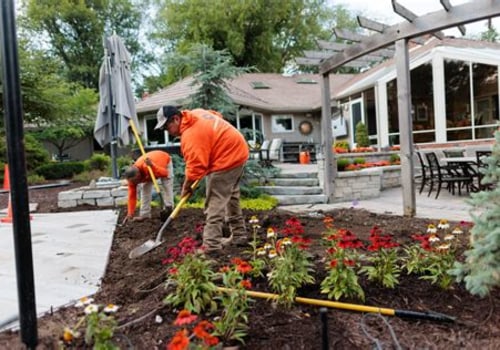 From Plant Selection to Placement: Landscaping for Pest Prevention