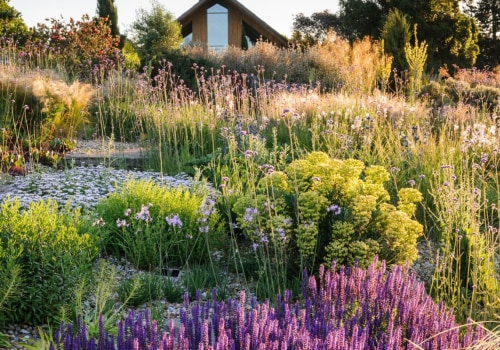 Creating a Water-Smart Landscape: How to Choose the Right Plants for Your Local Climate