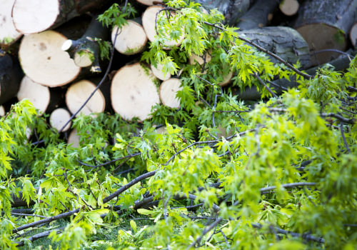 How Can A Professional Brush Removal Service Transform Your Residential Landscape Projects In Ellisville?