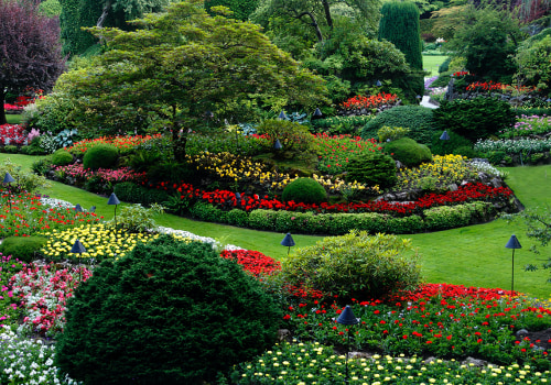 Transform Your Backyard Oasis: How An Arborist Consultation In Groveland Can Elevate Your Residential Landscaping