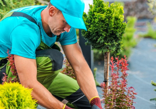 Why Do Landscapers Charge So Much Money?