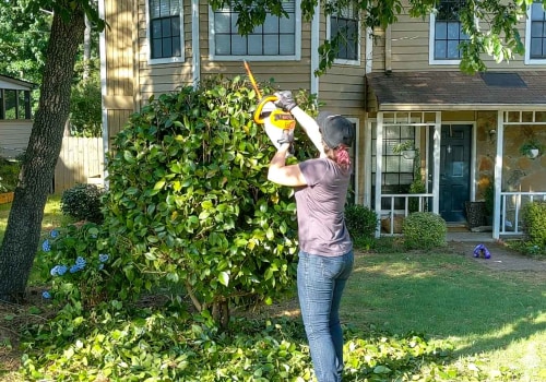 Enhance Your Landscaping with Expert Tree Care in Virginia Beach