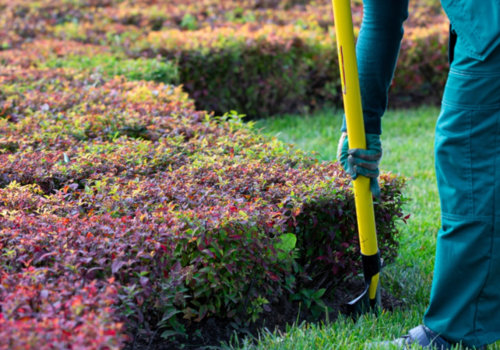 The Importance Of Foreclosure Cleanup For Your Residential Landscaping In Boise