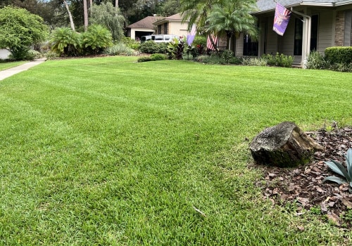 Longwood's Green Oasis: Why Pest Exterminator Services Are Vital For Residential Landscaping